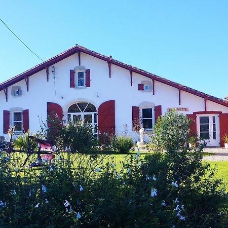 La Coquille Bed & Breakfast Pouillon ภายนอก รูปภาพ